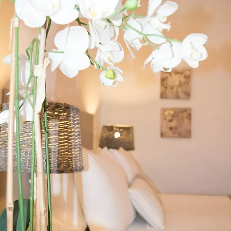 Hotel Astron