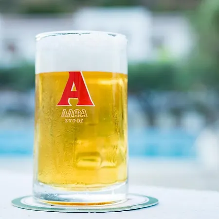 Hotel Astron 3*